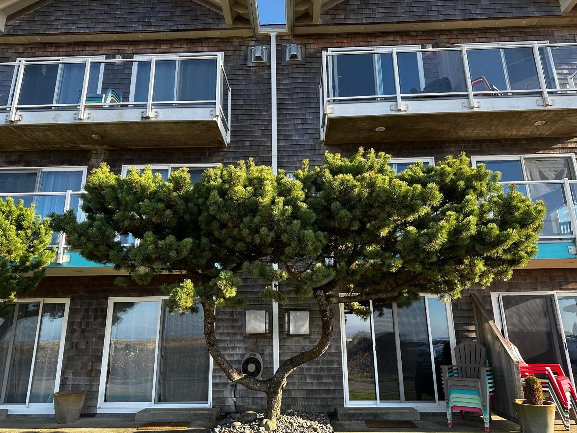 Inn At The Shore Seaside Bagian luar foto