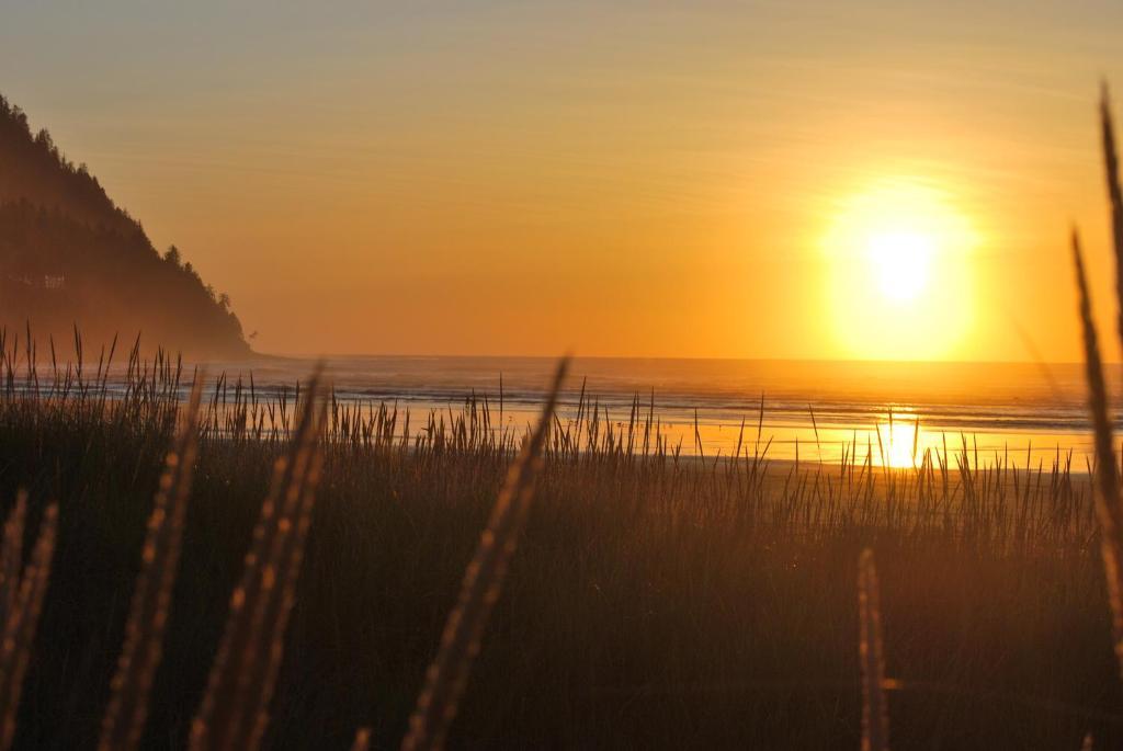 Inn At The Shore Seaside Bagian luar foto